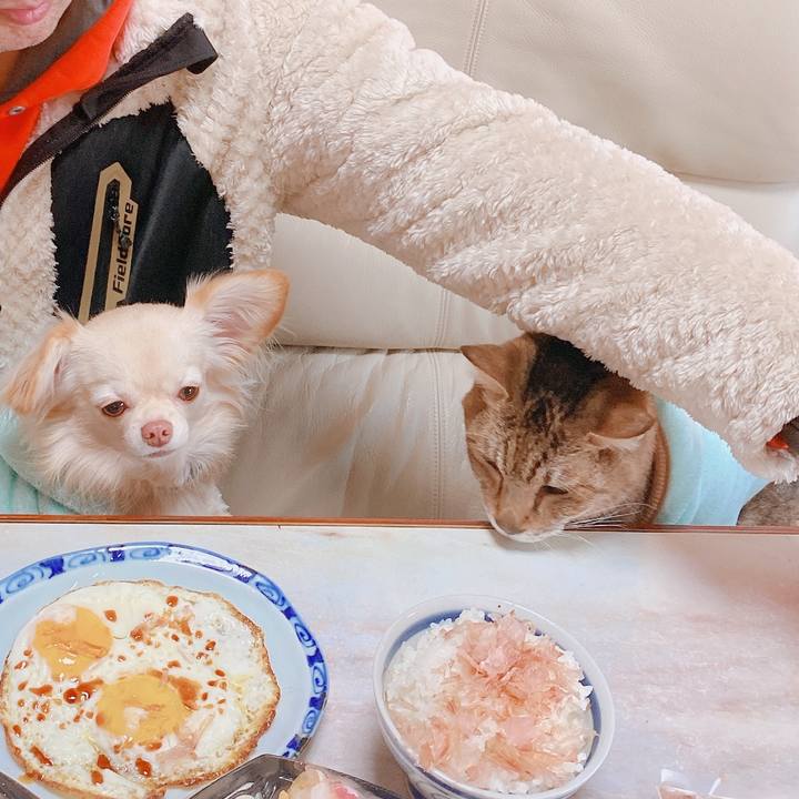 8397621c 80d9 4a51 b868 a5e38ce9b5d9 1642236963894