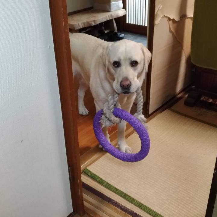 8397a2d5 8d4e 41e8 81f9 9479027c0958 1525850922271