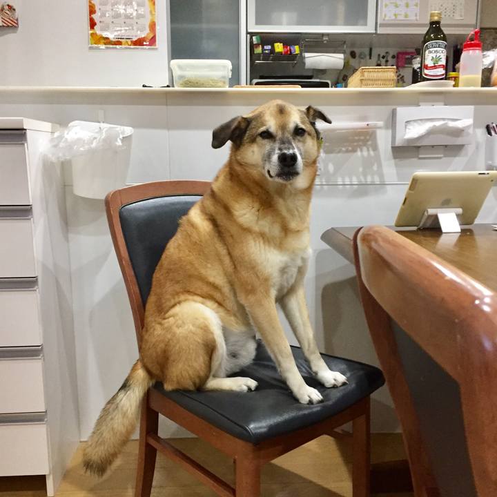 8397bfb3 472a 490a 8ad9 a286bdae4087 1579135499158