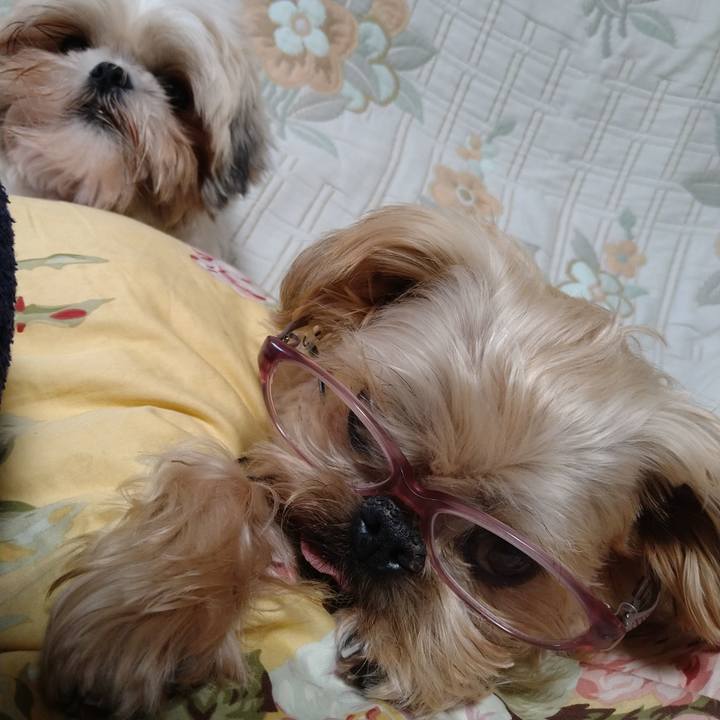 8397c7bd a6b0 4b4f b3b7 6f58dc7ddc75 1606619618064