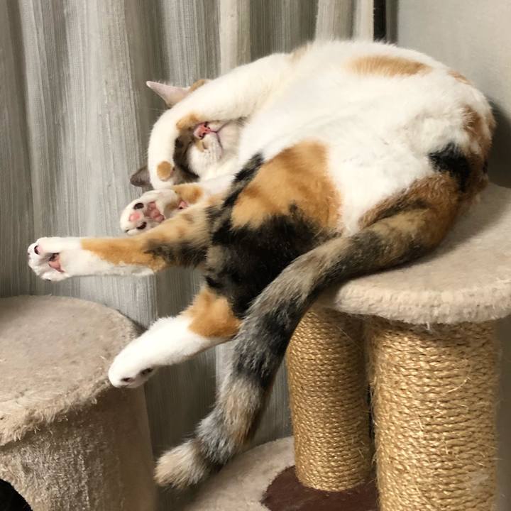 8397c89f acfa 4ddb 9f7c bc410547b861 1595073079001