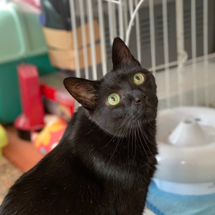 8397fa57 347b 4304 9942 bc423c406430 1599960637407