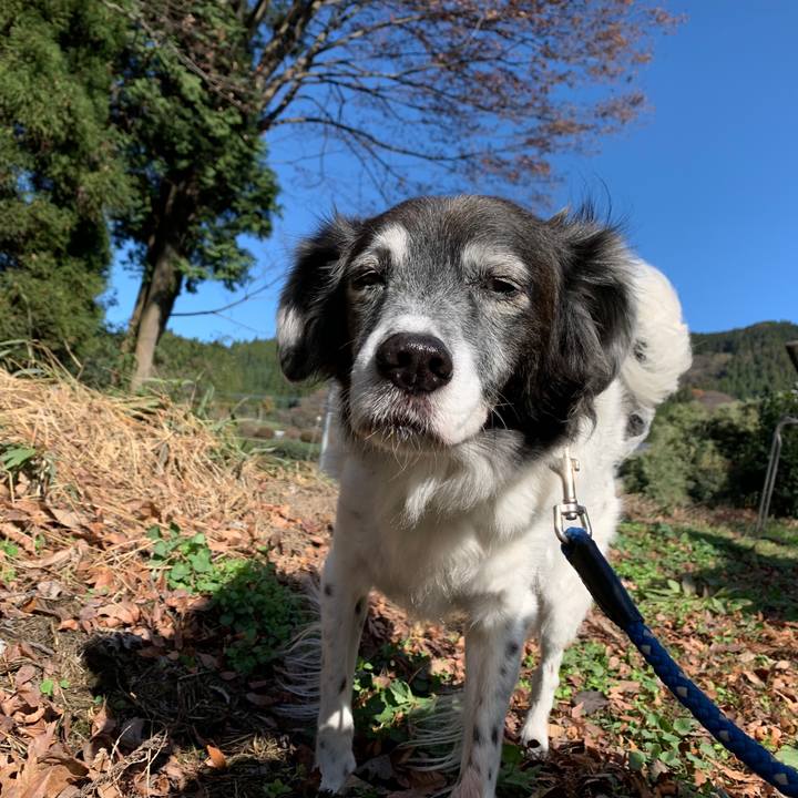 839800f6 f5a7 405d bccf 55946f0fe055 1575037275153