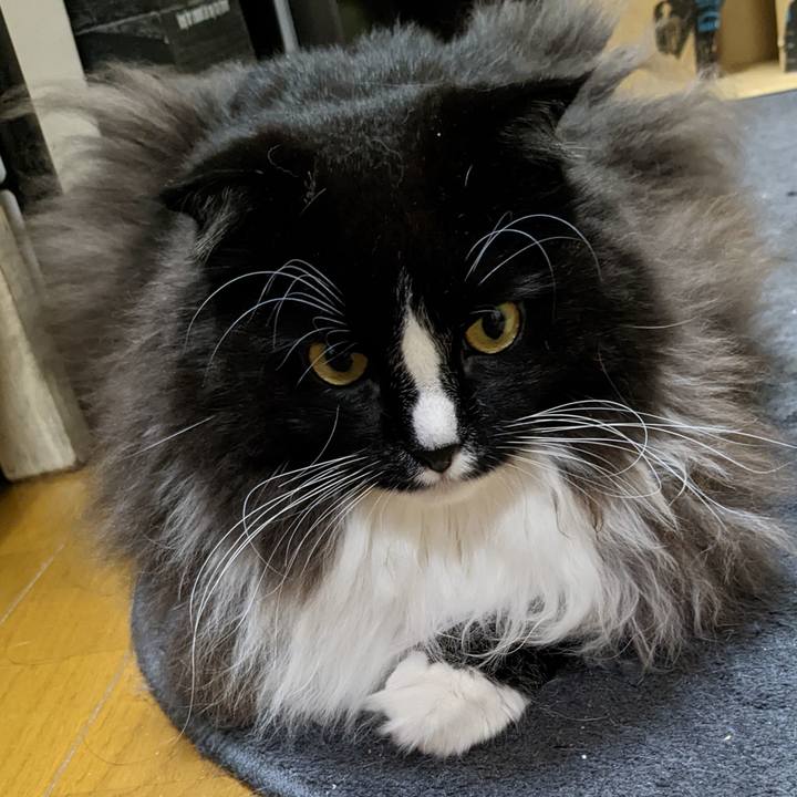 83988bf7 7245 4c54 a8f2 6d7276e8e9f7 1669809039614