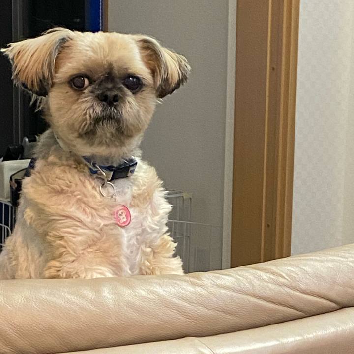 83989cc5 ce3f 46ec acb8 25dde3cdfb16 1585402711349