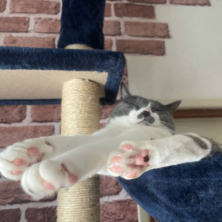 83990013 750b 45a9 bced ae1c15e8bd22 1629010979277