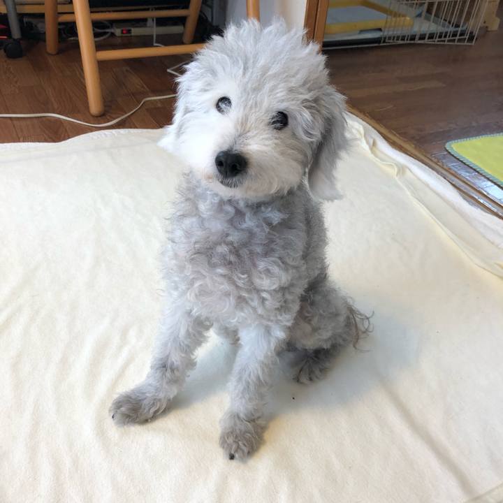 83990562 cc39 4f6f 8182 9dd835a87767 1595380470017