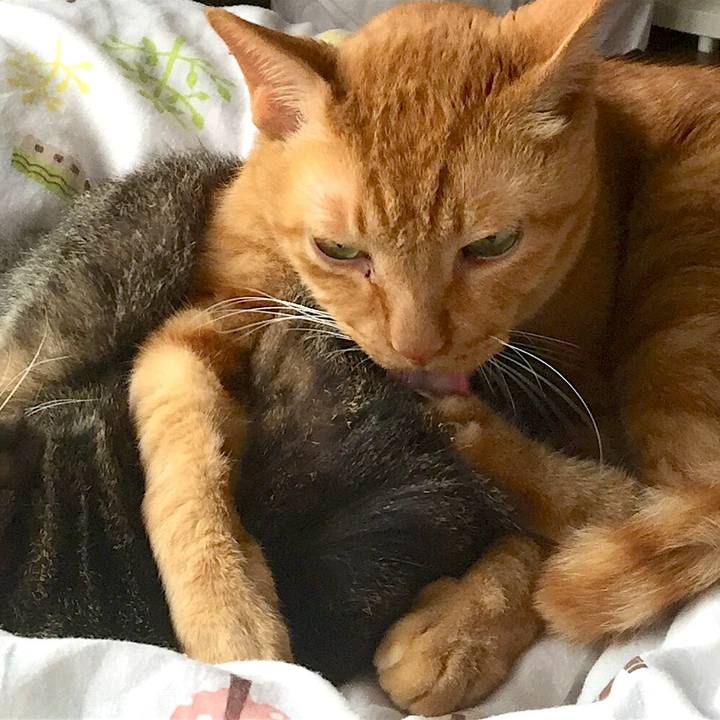 83990d7e acec 4e12 992d f909c0f34889 1570069549211