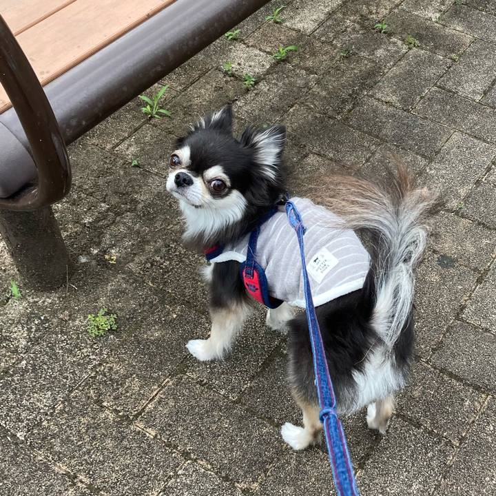 8399288f d544 48d0 9377 33094243c6ef 1716651792238