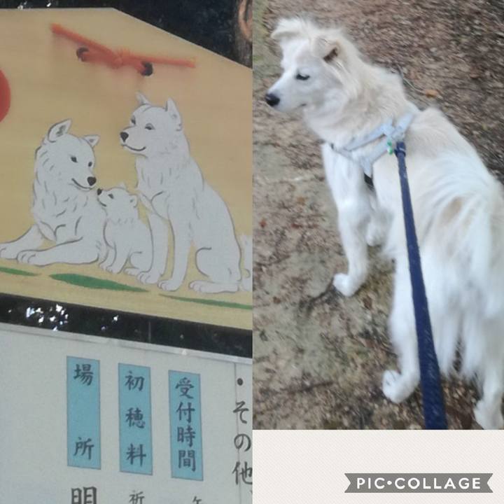 83994d06 fc45 476c 999e 94dfd4ed7ad8 1515036447466