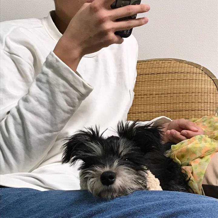 83996034 433e 42ab ab62 45d082919822 1550667092664