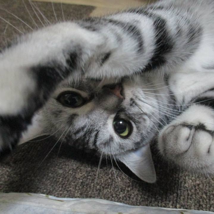 83996395 30e5 4bf0 94b1 571aee9a424e 1564276104852