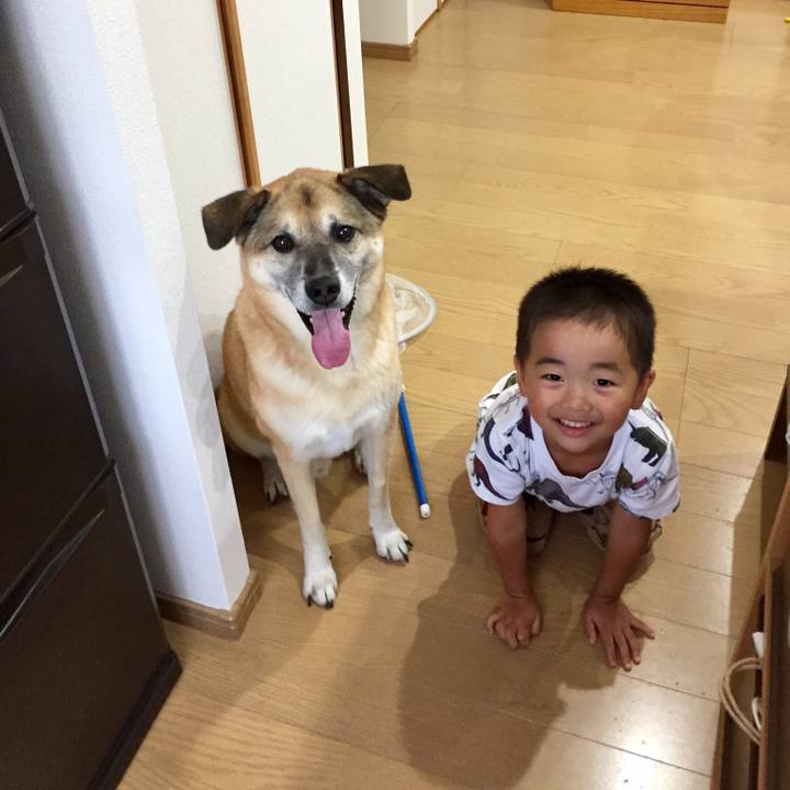 83996c16 329a 44f2 abf3 faac4c37cf52 1534586445726