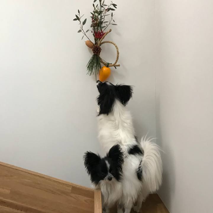 83997e7f 86fb 4354 b9fb 1a94d69d4256 1514761118125