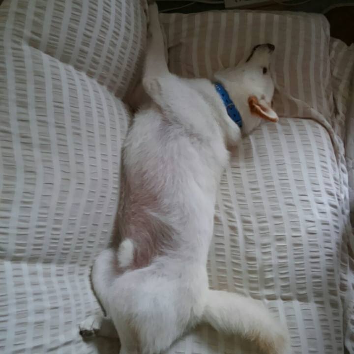 83997f6b 99b8 406b bae3 0cc3e0cb22a1 1532844750320