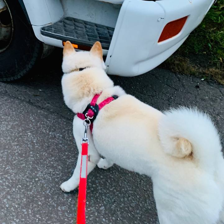 83999f2b e37c 4f0f b935 691ba98141a0 1568150105239