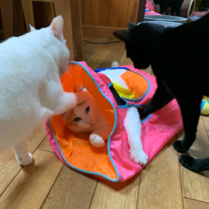 8399f2c2 57d2 4a19 85c7 6ae1debbd933 1580640155573