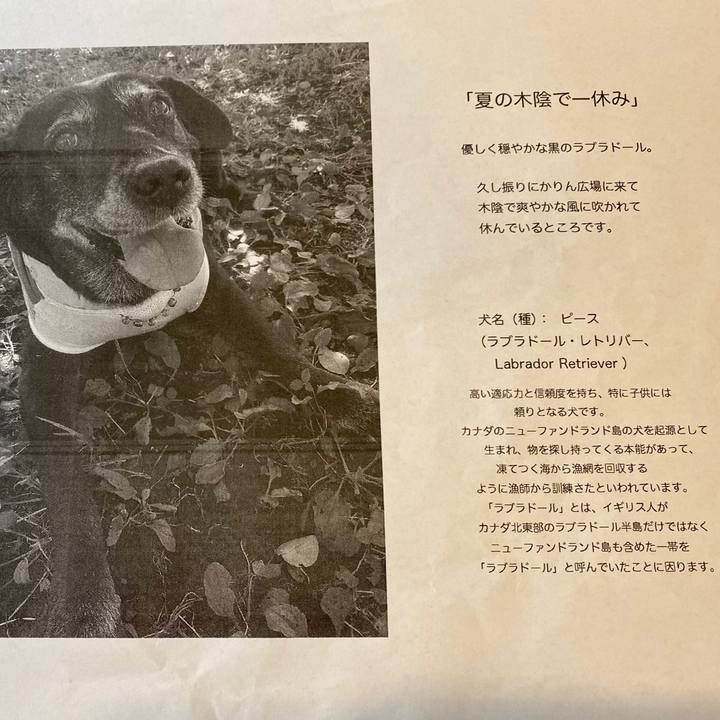 839a0d2c 5d88 4821 81a9 cb0e20ef1c06 1631066484761