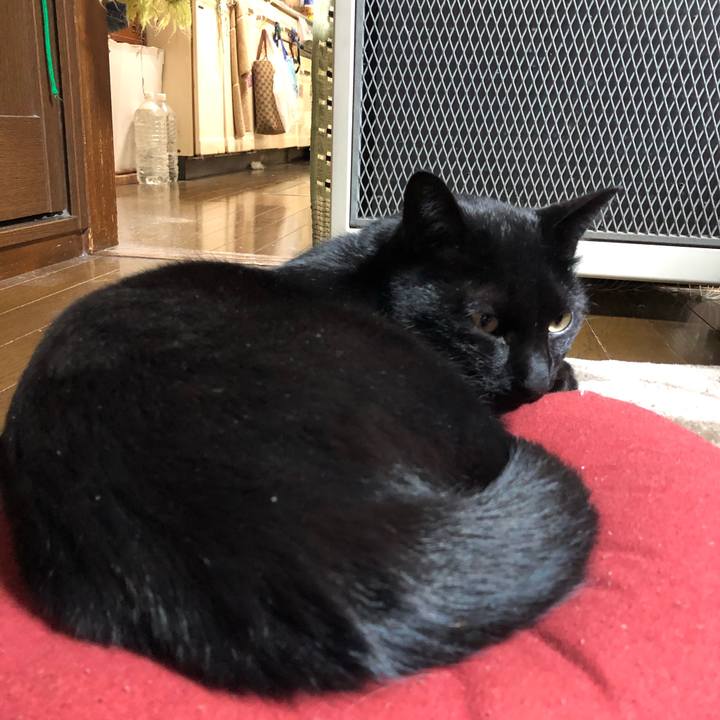 839a1997 3eb5 4cf1 bacf cf11e200172f 1544633570372