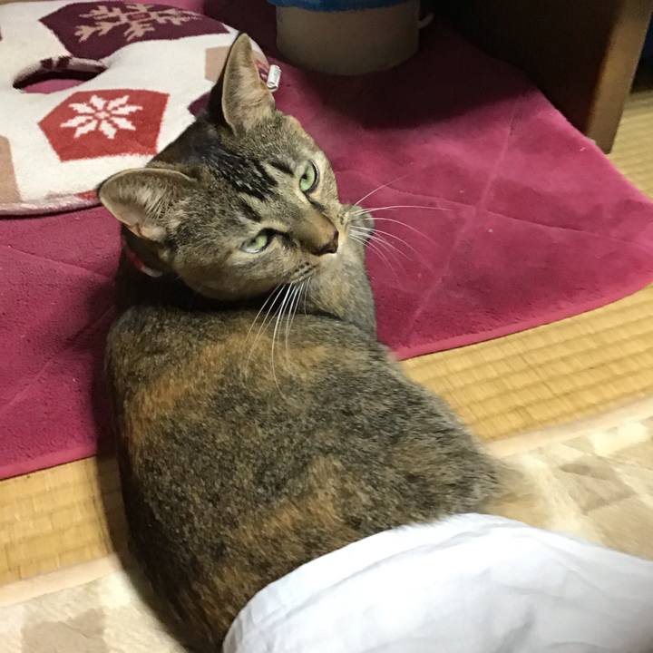 839a1a1c cda0 4774 859e 4e080c326ac6 1605342596033