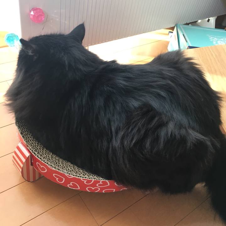 839a21b6 1032 442f 95d0 d6a0845c875b 1548154801546