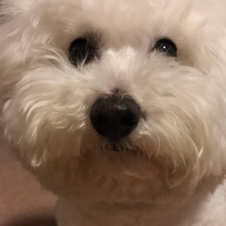 839a2da3 9f1c 4070 ac5a ef21197a5b17 1552385194121