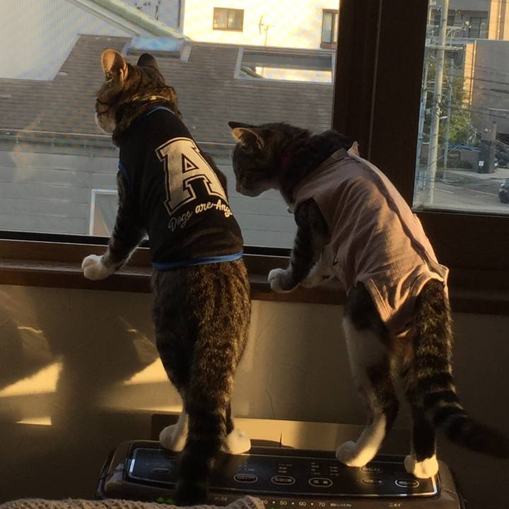 839a34b3 a418 4295 9fcc 989a009db927 1663709471045