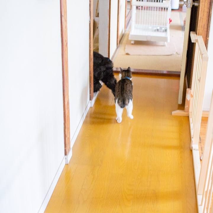 839a496f 93f2 4deb b952 c5d248282cd4 1553954345054