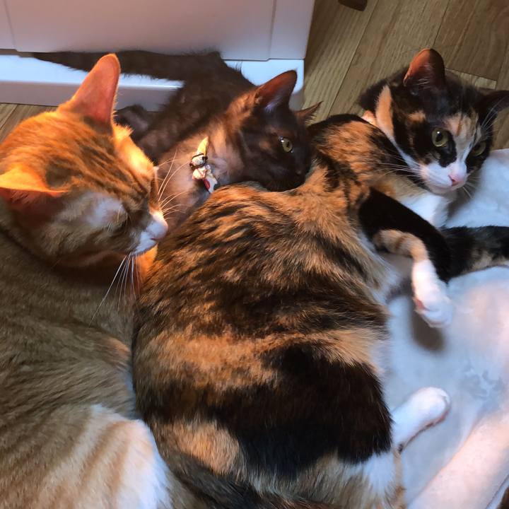 839a5a08 e52c 4f8a a6a6 16928e009d18 1607180888819