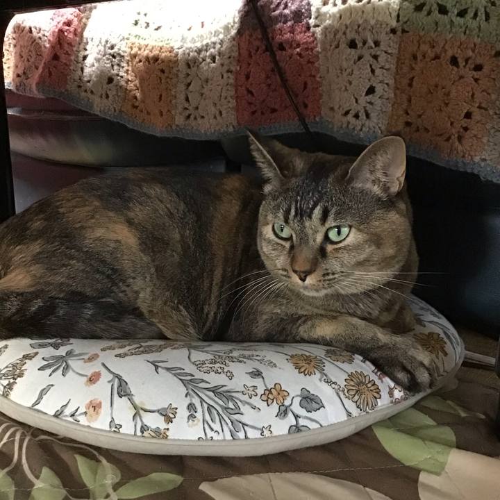 839a6802 6c7a 412a 9eda dc24611d1919 1728804802155