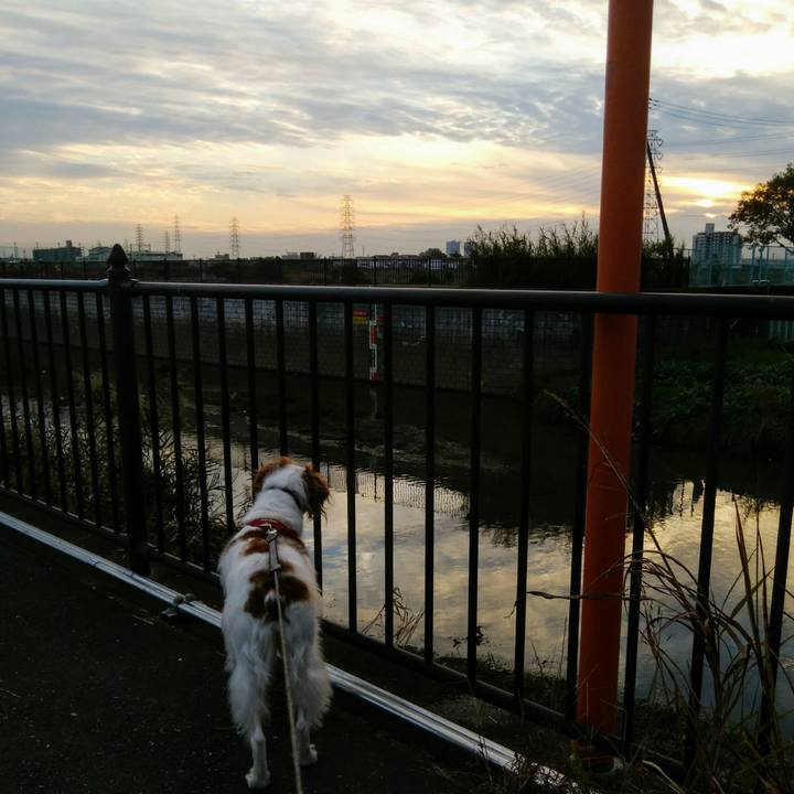 839a97ce 83da 482f bd95 51574ab46e64 1542799644346