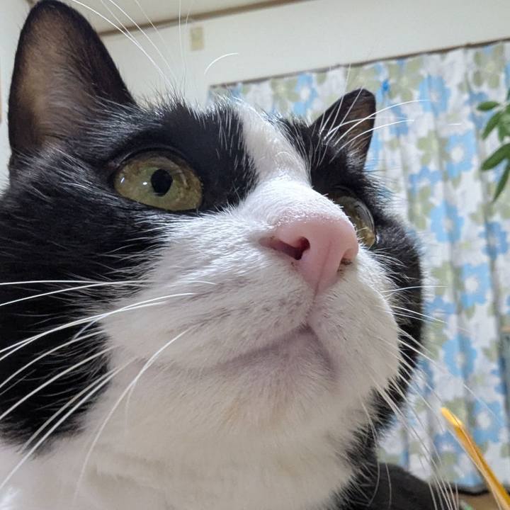 839ab1a4 7fa1 4771 984c fdb71dfd910f 1738405775206