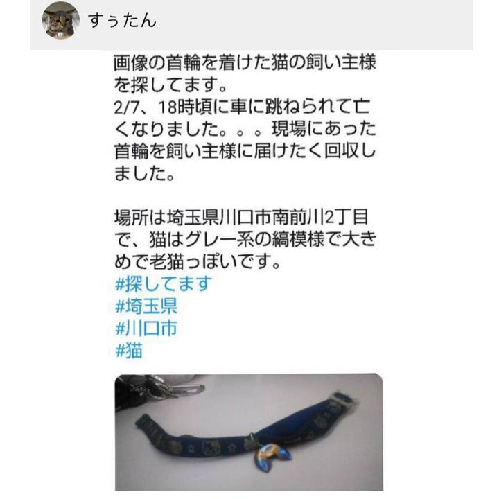 839abb3d ef59 4ca8 bf22 f022a614c10b 1549802421418