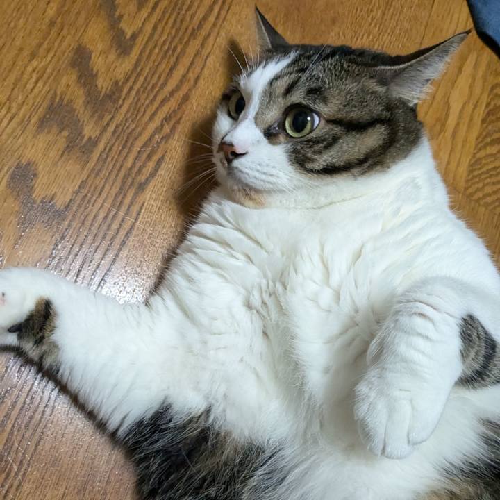 839ac046 c78a 4589 bacd 90ee6d3d6868 1721474388573