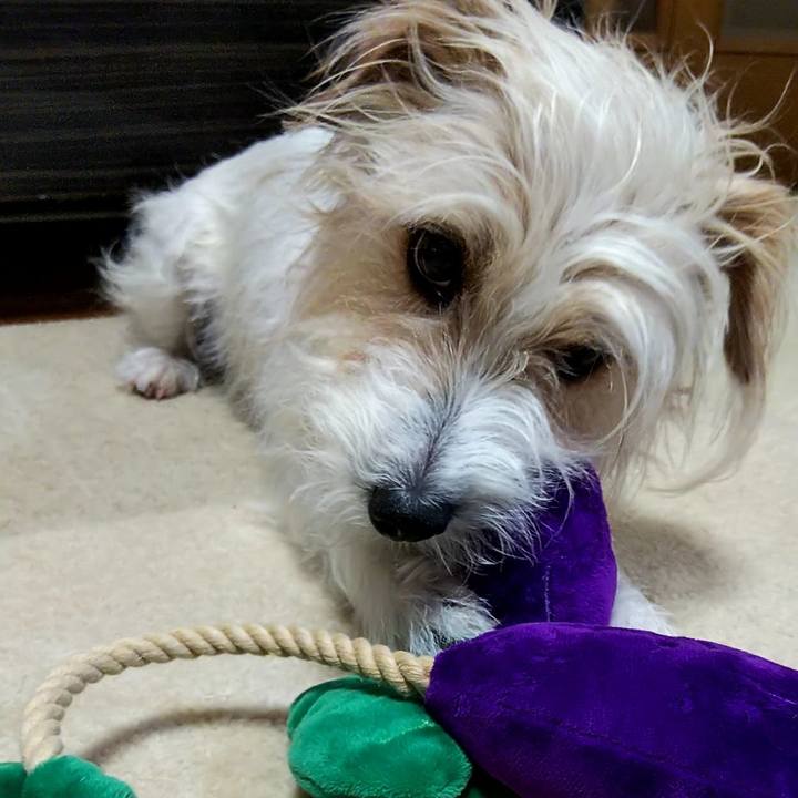 839aeec3 cfee 42b6 834e 443f772cb126 1561496445094