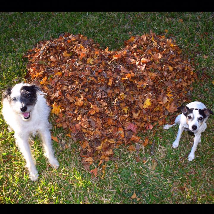 839b142a a4e6 4048 a62c 1be4fa416250 1543708874641