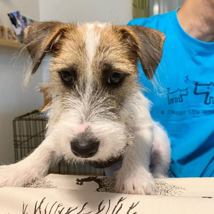 839b1934 775b 4ba3 a082 dc997b4f9fa4 1565849509484