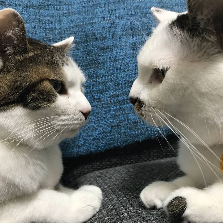 839b5d7b da42 4b38 9f0c 9a0d1c44c3c4 1528343896547