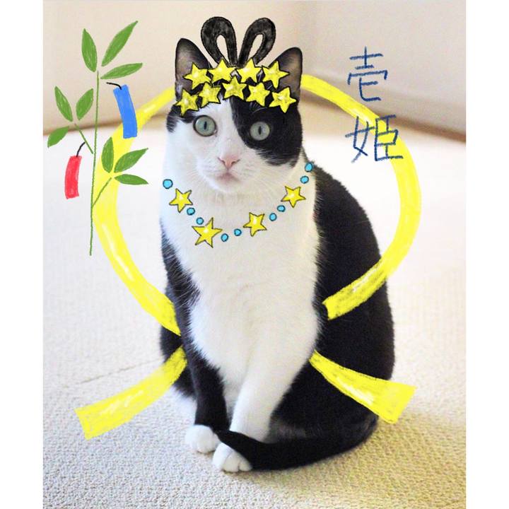 839b7e37 fcc4 4cff 9ff2 e6366b2843ab 1594124656734