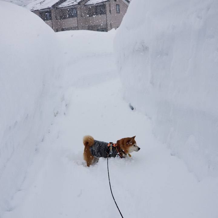 839c04e2 7ed6 4590 9ccb b22d22b27590 1644038848028