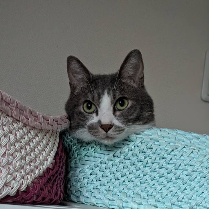 839c1c1e 945f 407d 8330 78cccda2bae9 1727643031678