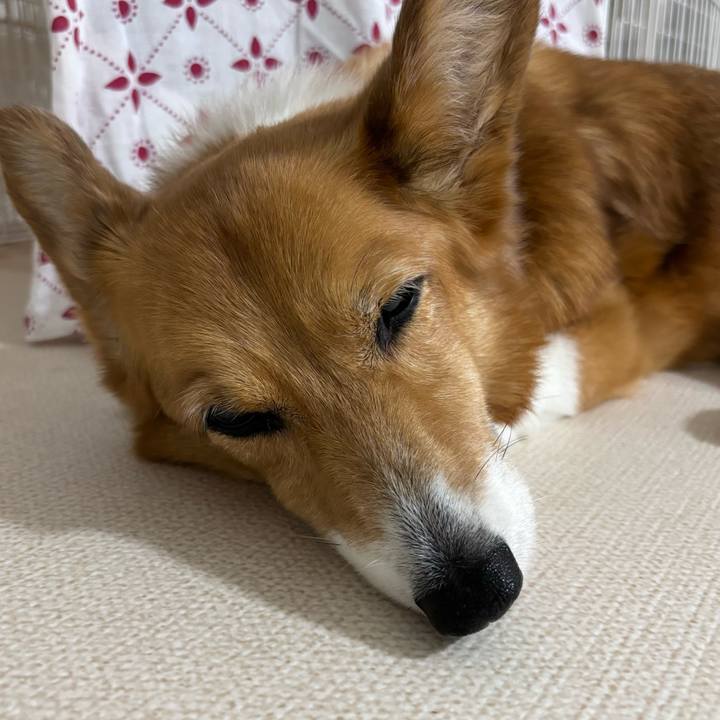 839c3852 8b3f 4374 a378 08c8be09bd10 1756202818937