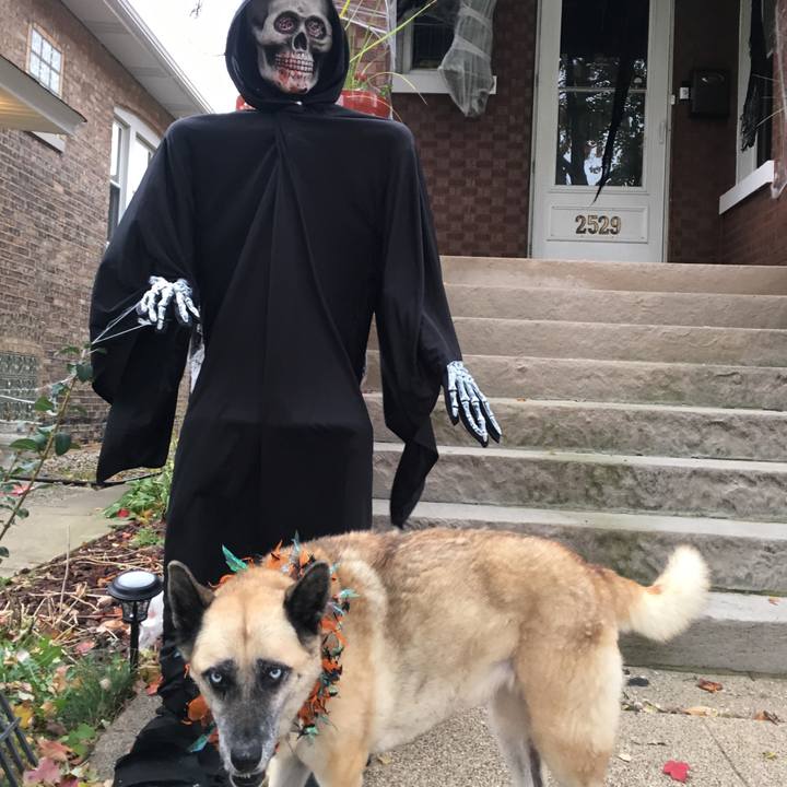 839c3c73 bea8 48e4 bdf1 3a86974286ce 1540858396434