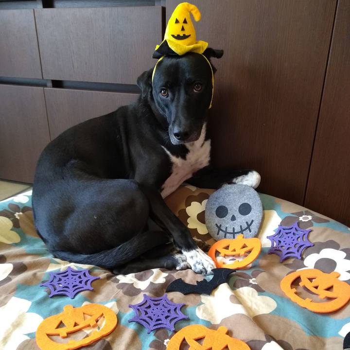 839c9829 e64b 47c7 a189 b2550e35db93 1604024534129