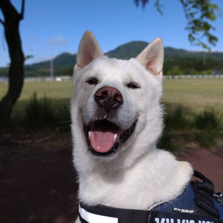 839c9855 b9e1 4a75 a44b 70a5dbb602e2 1652185025277