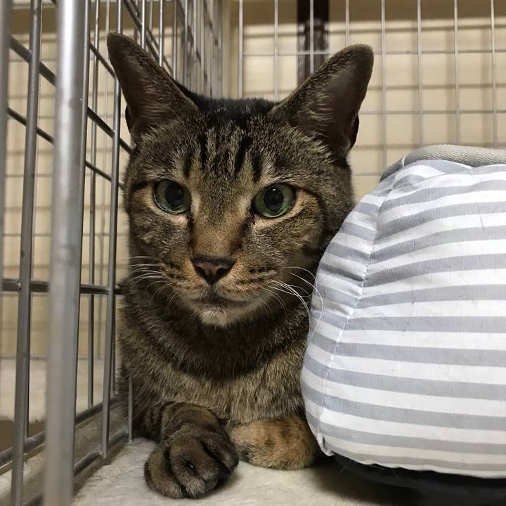 839c9a75 1eb0 4da3 bb53 9c52eb87a2da 1537490185391