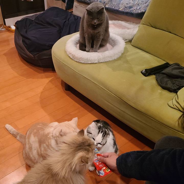 839caac3 cc94 48ab bb7d 9e7dce0f4f96 1644192124615