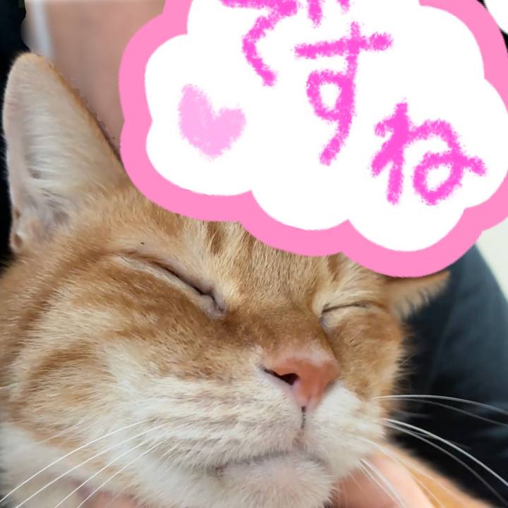 839cfb48 ab31 4b22 9ade 80da530eaf53 1767051987173