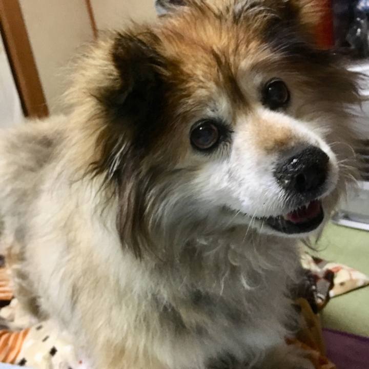 839d14ff 4bd6 4aad 9f2b 1ed08c0d9ea3 1600304780702