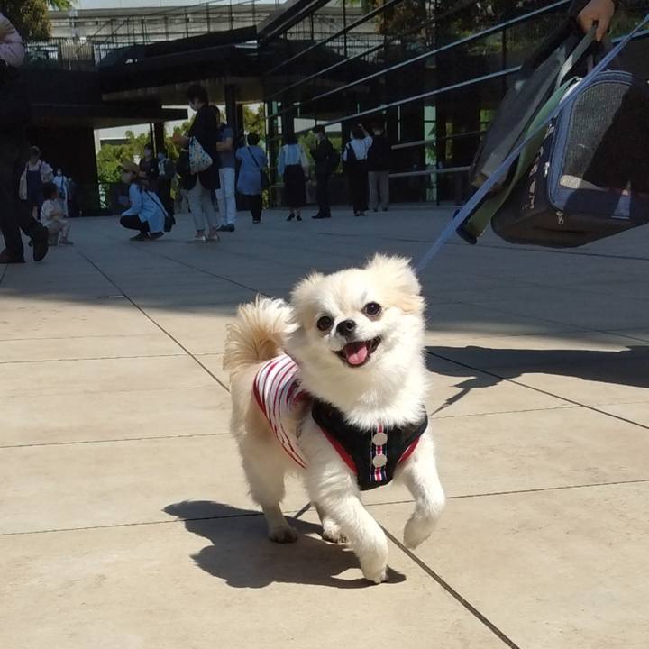 839d2ee1 f8f2 4b84 8102 1e3da8be5a14 1651918586462